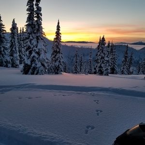 Meet your Posher, Trisha